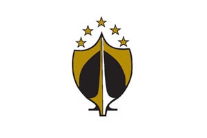 American Fighter Aces Association