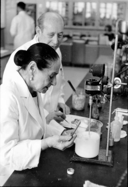 Gallery of Helena Rubinstein