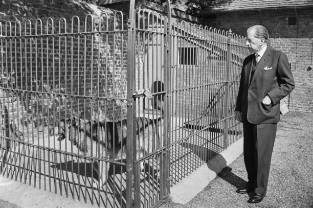 Gallery of Jean Getty