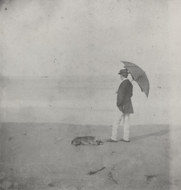 Gallery of Winslow Homer