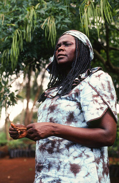 Gallery of Wangari Maathai