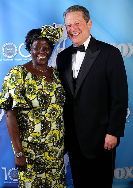Gallery of Wangari Maathai