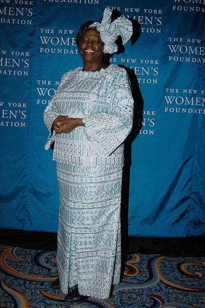Gallery of Wangari Maathai