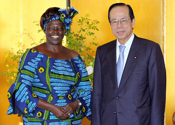 Gallery of Wangari Maathai