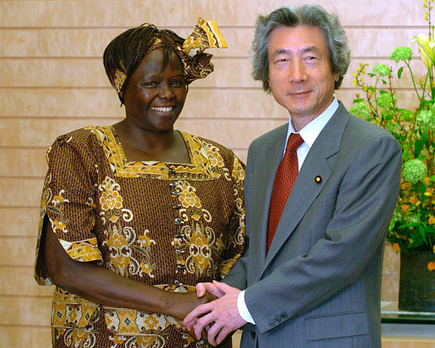 Gallery of Wangari Maathai