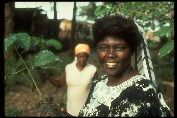 Gallery of Wangari Maathai