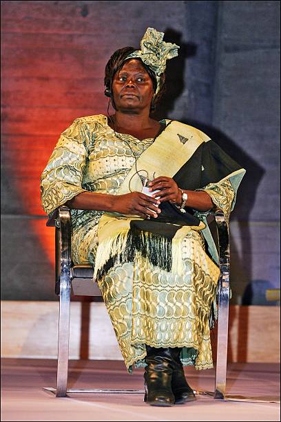 Gallery of Wangari Maathai