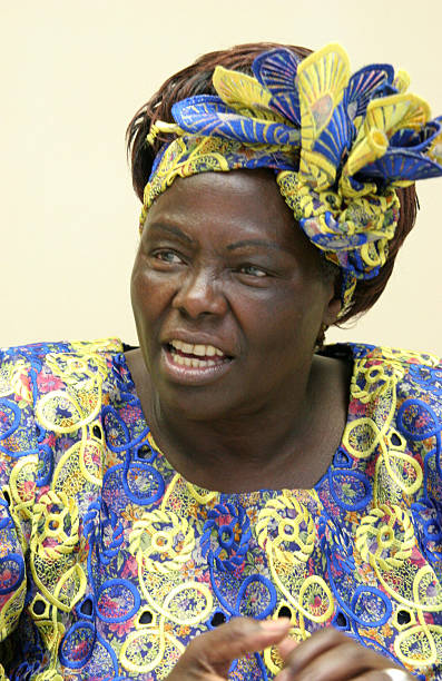 Gallery of Wangari Maathai