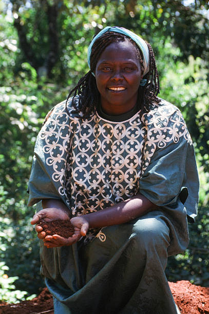 Gallery of Wangari Maathai