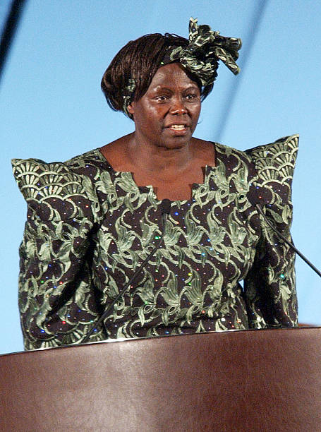 Gallery of Wangari Maathai