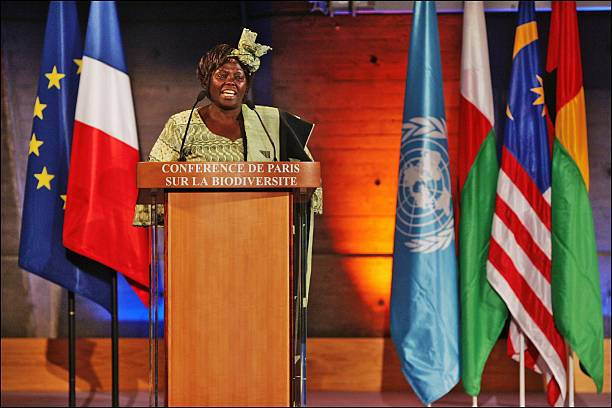 Gallery of Wangari Maathai