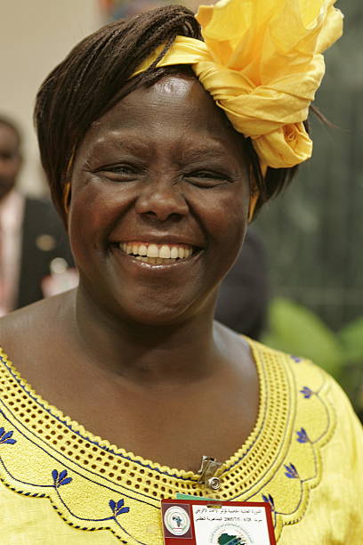 Gallery of Wangari Maathai
