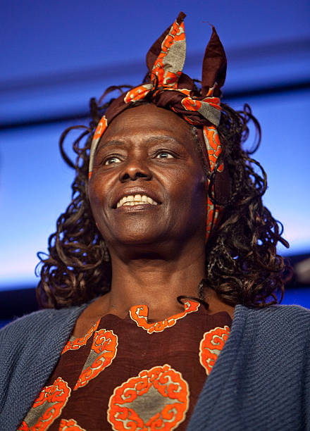 Gallery of Wangari Maathai