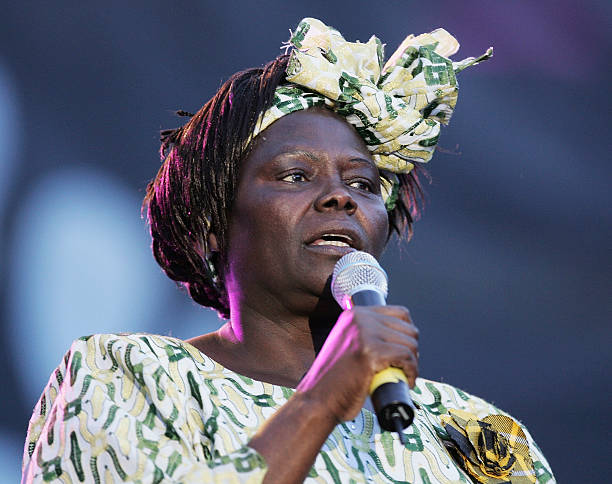 Gallery of Wangari Maathai