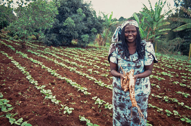 Gallery of Wangari Maathai