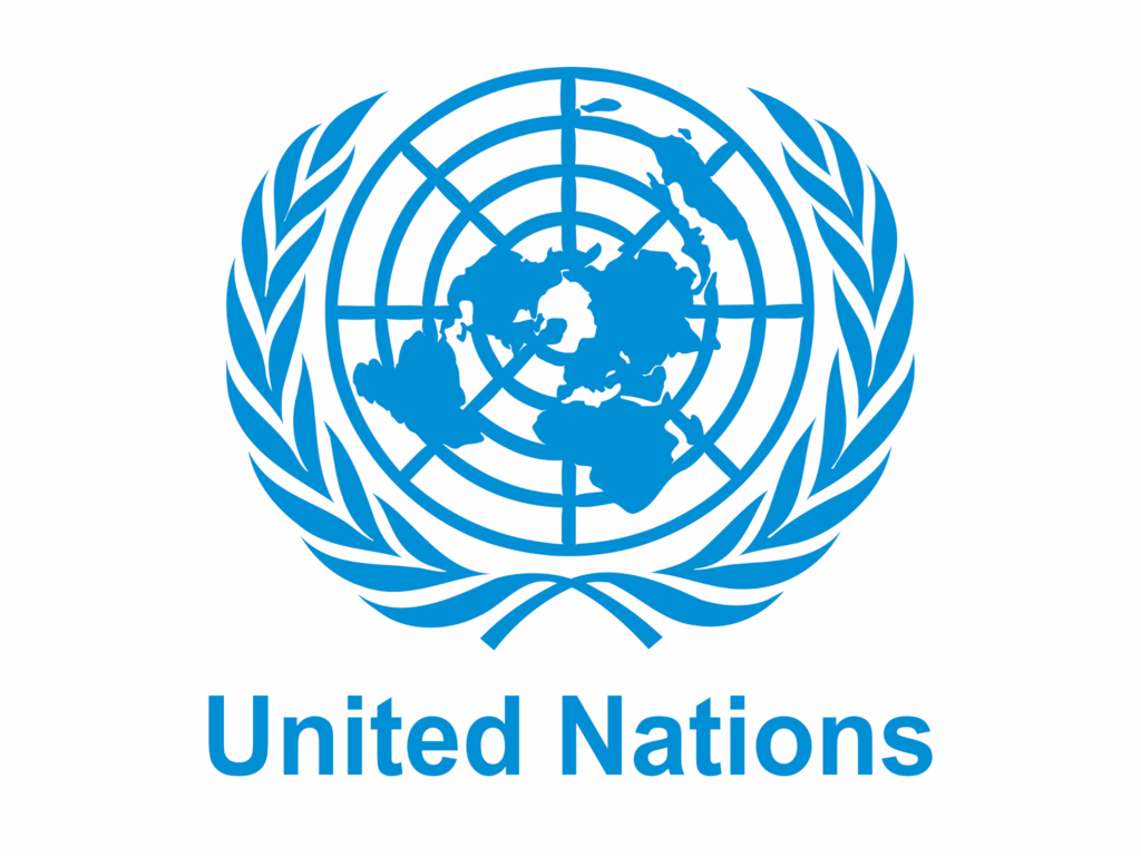United Nations Economic Policy Council