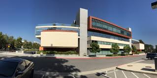 Gallery of Weston Naef