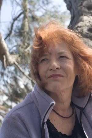 Gallery of Judith Roche