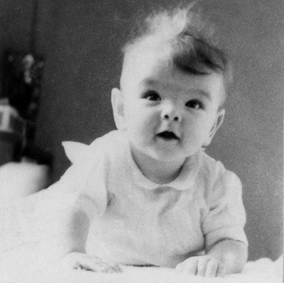 Gallery of Martha Stewart