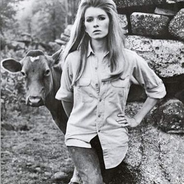 Gallery of Martha Stewart