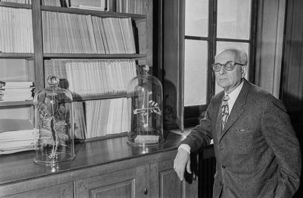 Gallery of Claude Lévi-Strauss