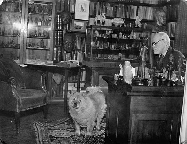 Gallery of Sigmund Freud