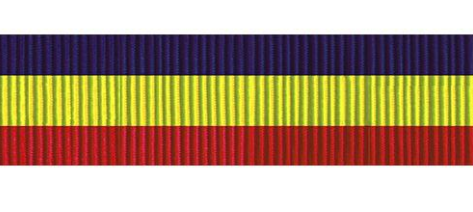 Navy Presidential Unit Citation