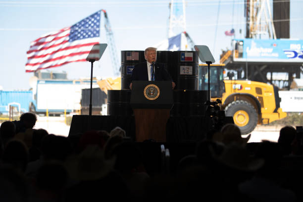 Gallery of Donald Trump
