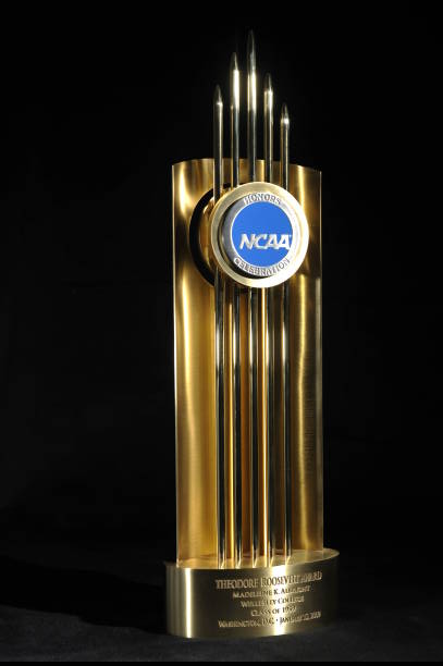 Theodore Roosevelt Award