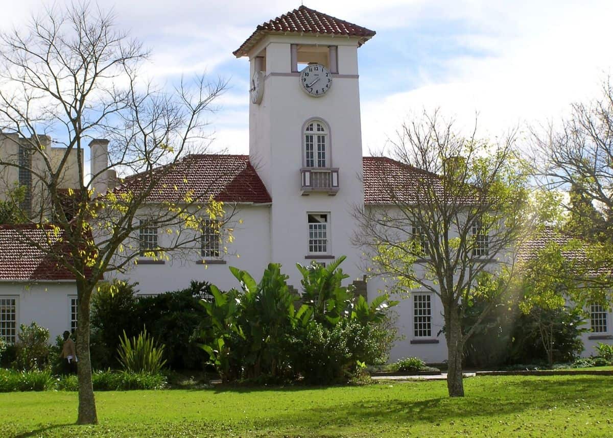 Gallery of Nelson Mandela