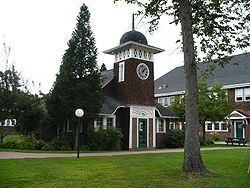 Gallery of Bill Ravanesi