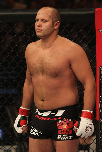 Gallery of Fedor Emelianenko
