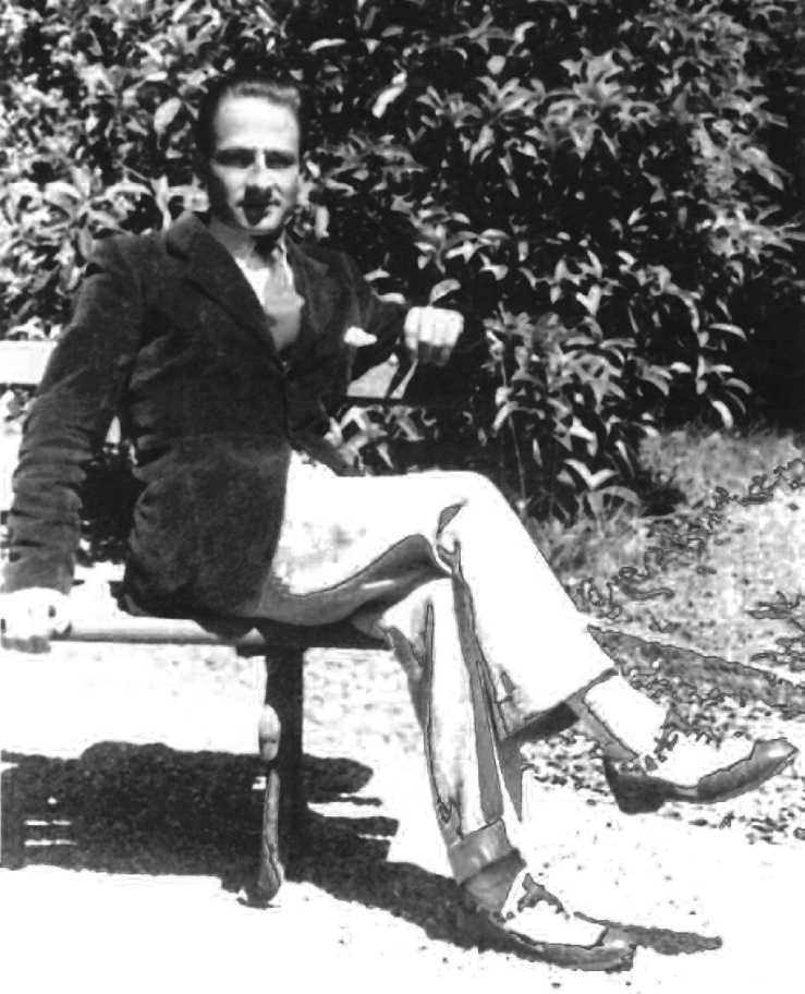 Gallery of Guido Morselli