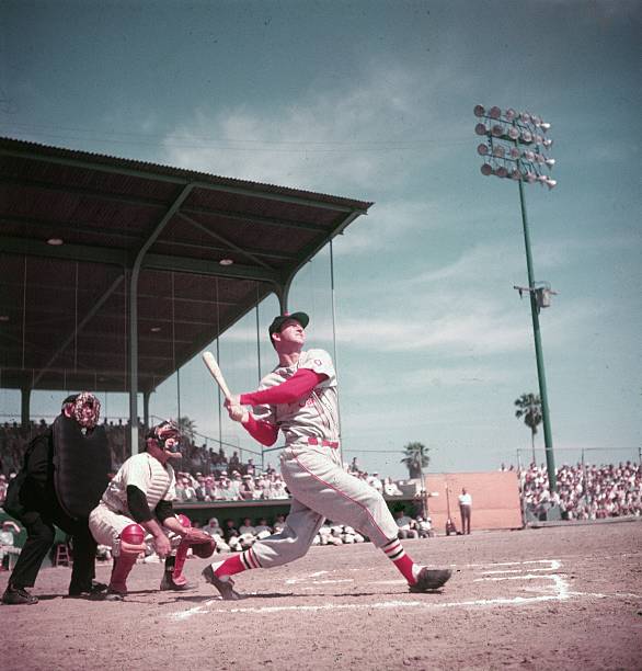 Gallery of Stan Musial