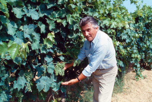 Gallery of Ferruccio Lamborghini