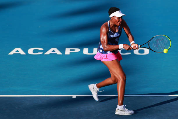 Gallery of Venus Williams