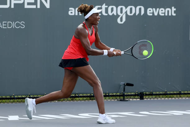 Gallery of Venus Williams