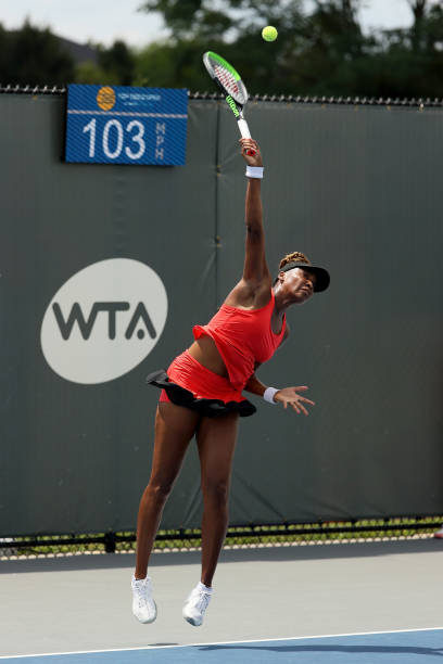 Gallery of Venus Williams