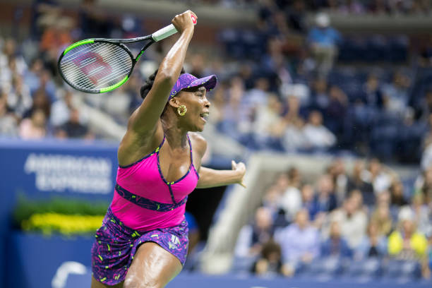 Gallery of Venus Williams