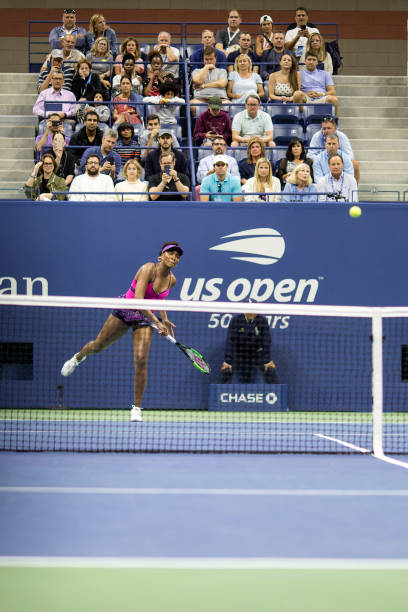 Gallery of Venus Williams