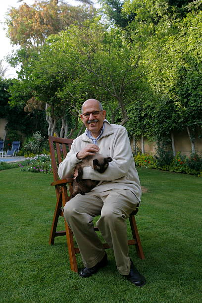 Gallery of Mohamed ElBaradei