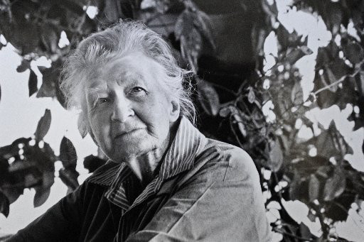 Aileen Fisher
