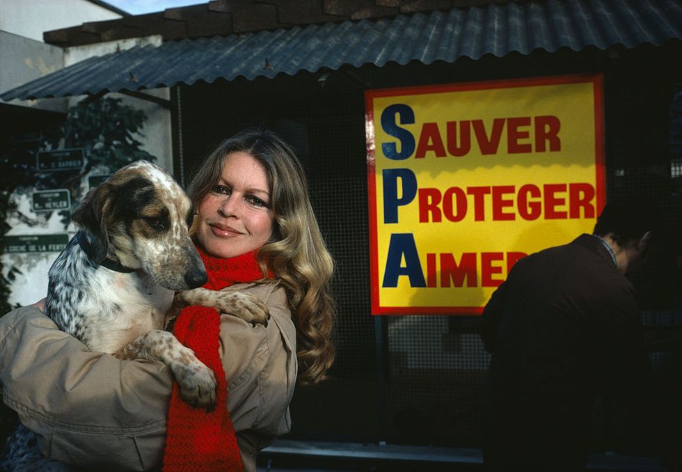 Gallery of Brigitte Bardot