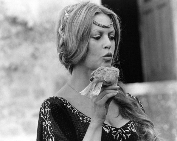 Gallery of Brigitte Bardot