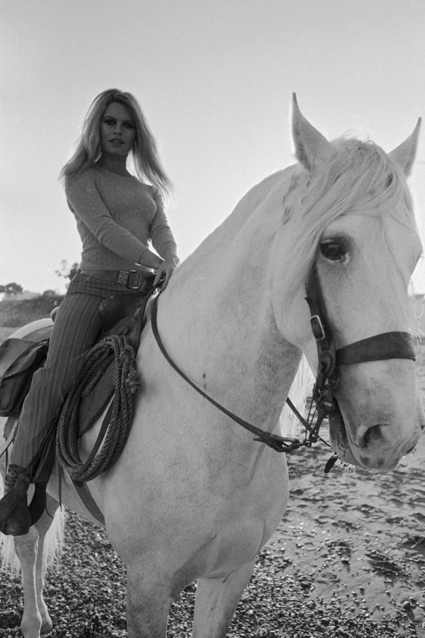 Gallery of Brigitte Bardot