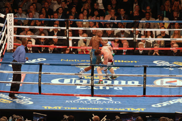 Gallery of Floyd Mayweather Jr.