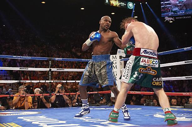 Gallery of Floyd Mayweather Jr.