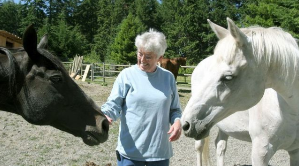 Gallery of Susan Sloan