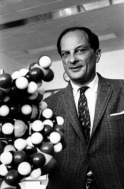 Gallery of Stanislaw Ulam