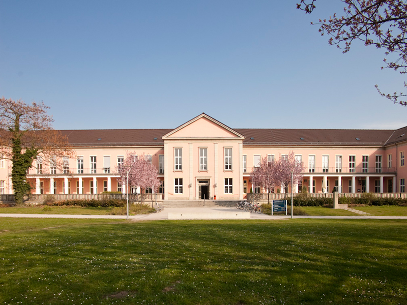 Gallery of Martin Luther